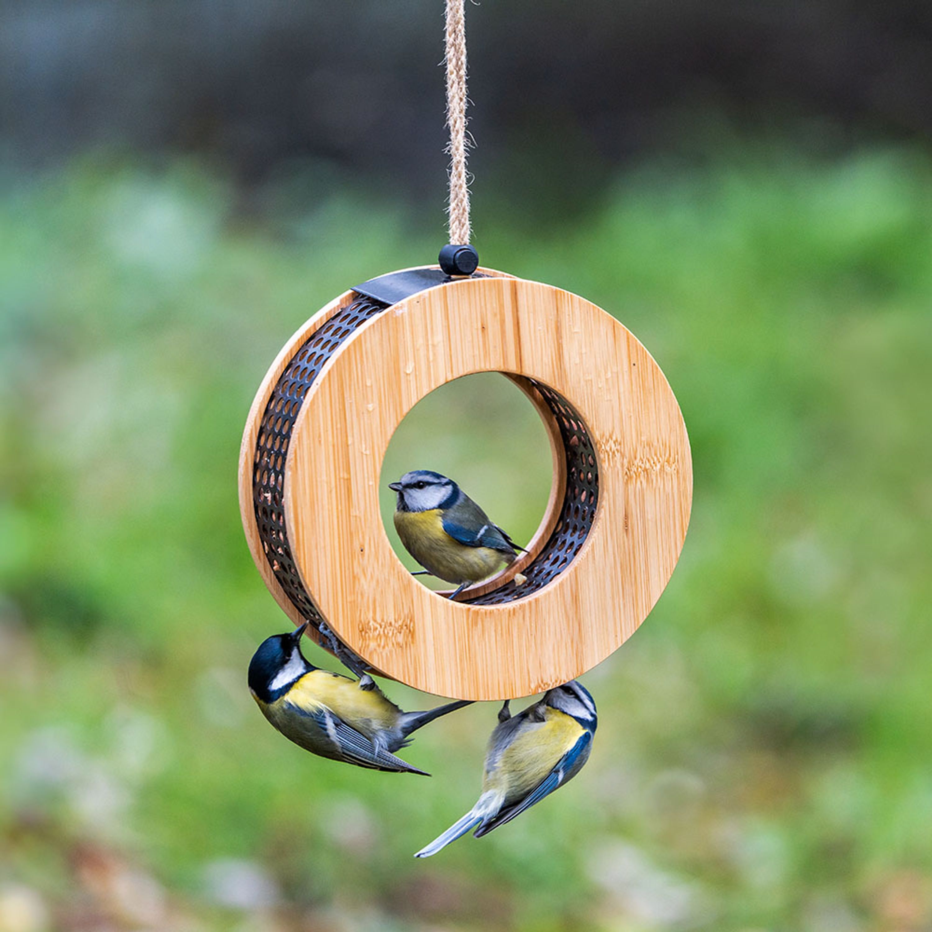 Erdnussfutterhaus Kyoto | CJ Wildlife